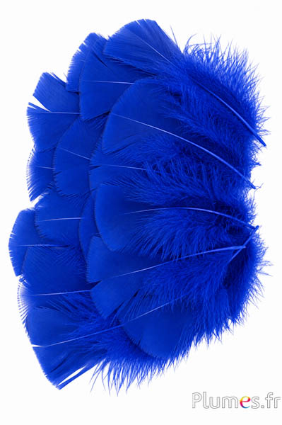 Kalkoen - 6-8 cm - blauw